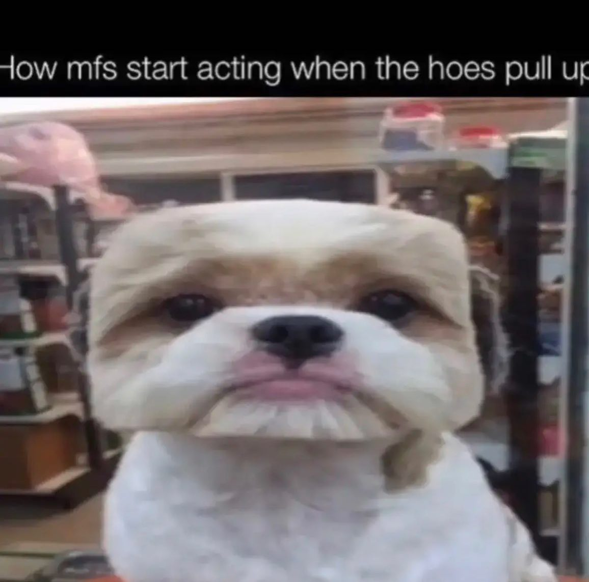 brandon.derby on One Bite Pizza App