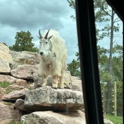 ty.sanders on One Bite Pizza App