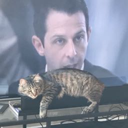 charlie.carroll on One Bite Pizza App