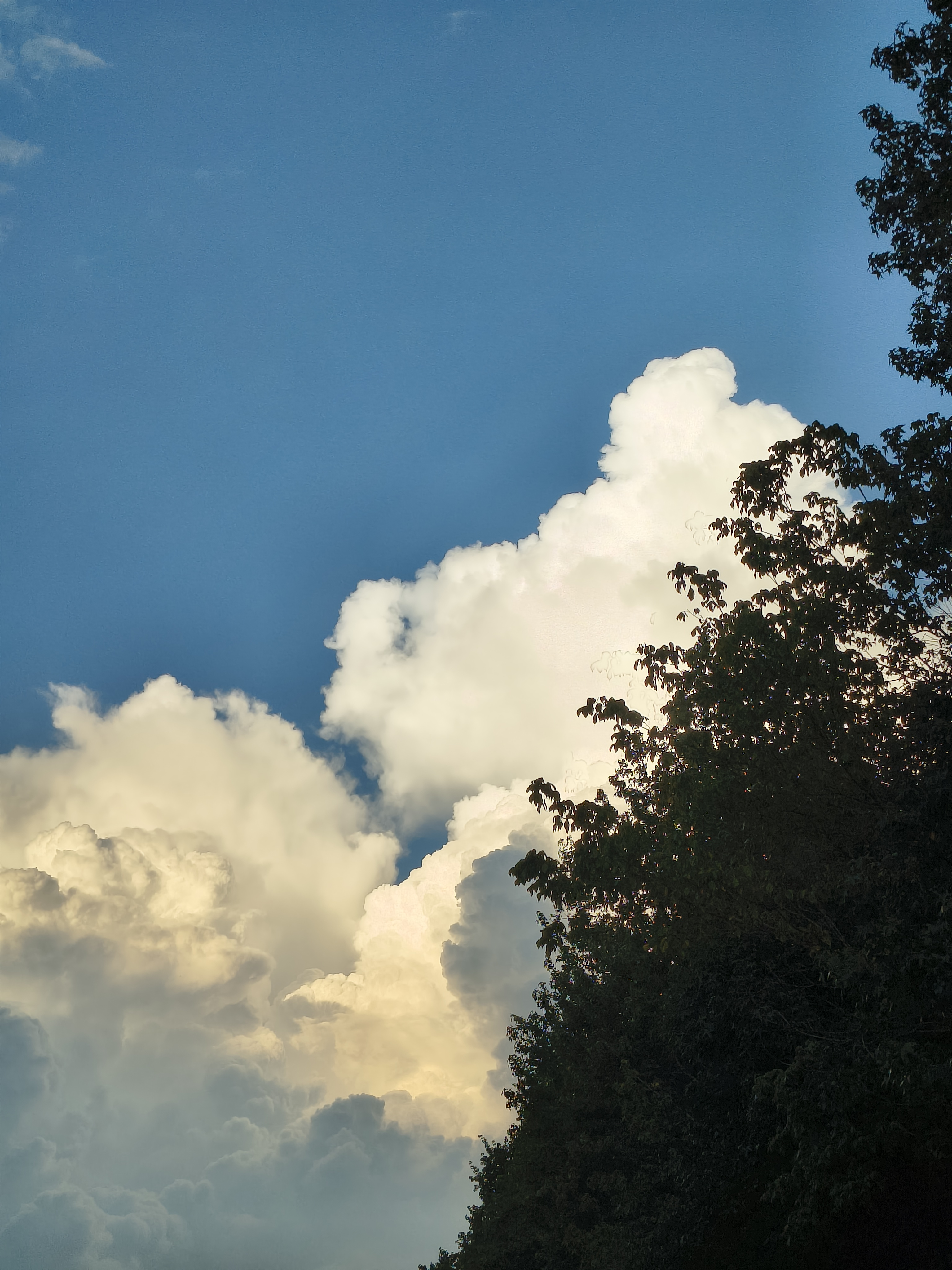 orion.d on One Bite Pizza App