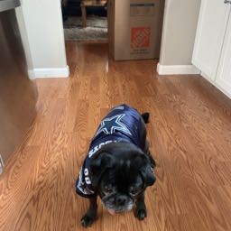 john.stout1 on One Bite Pizza App