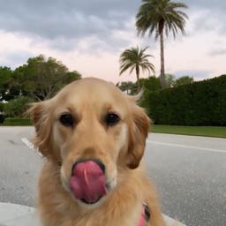 leah.miles on One Bite Pizza App