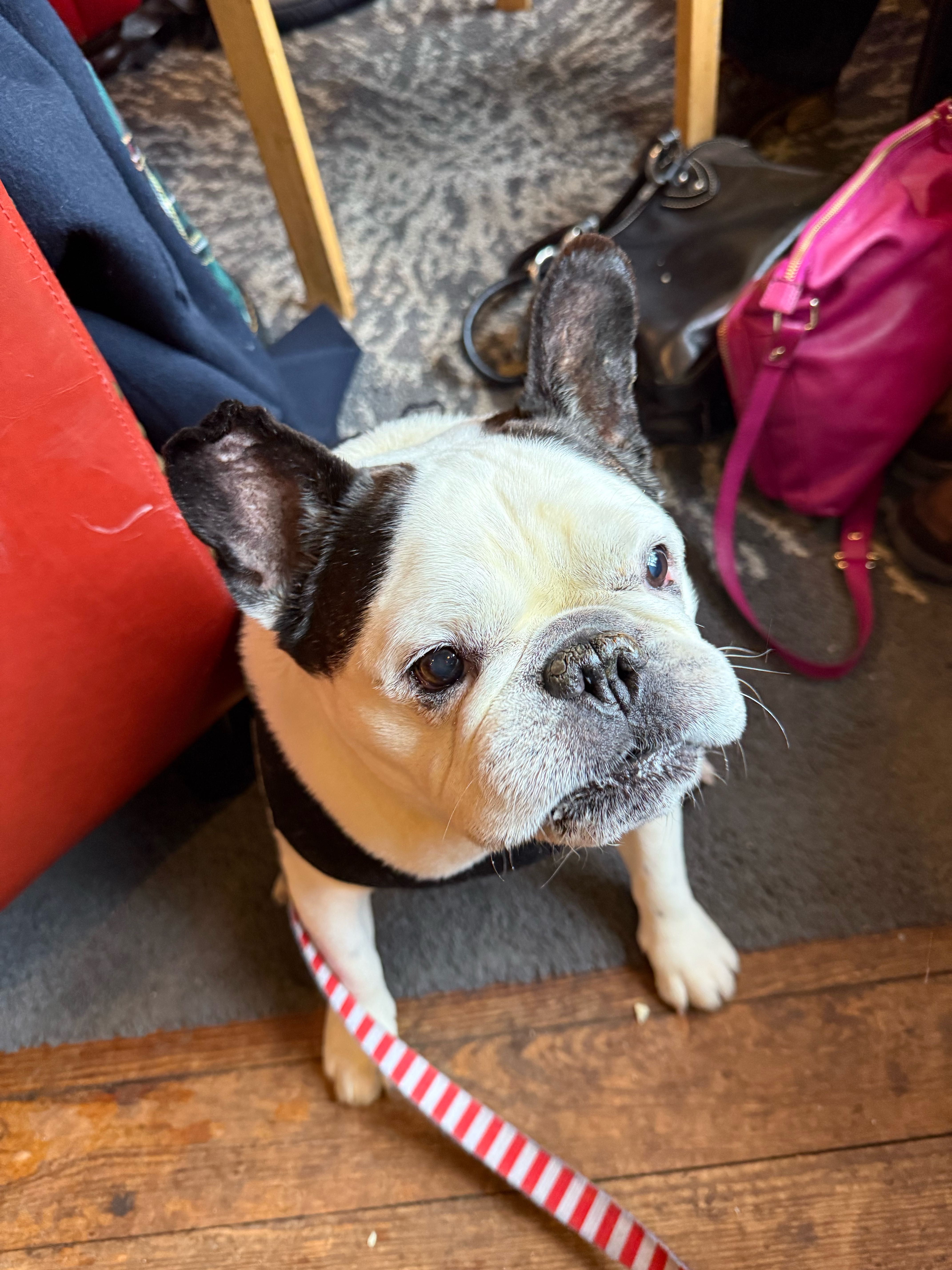 slimey-slimeball on One Bite Pizza App