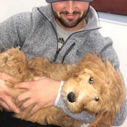 cooper.karlin on One Bite Pizza App