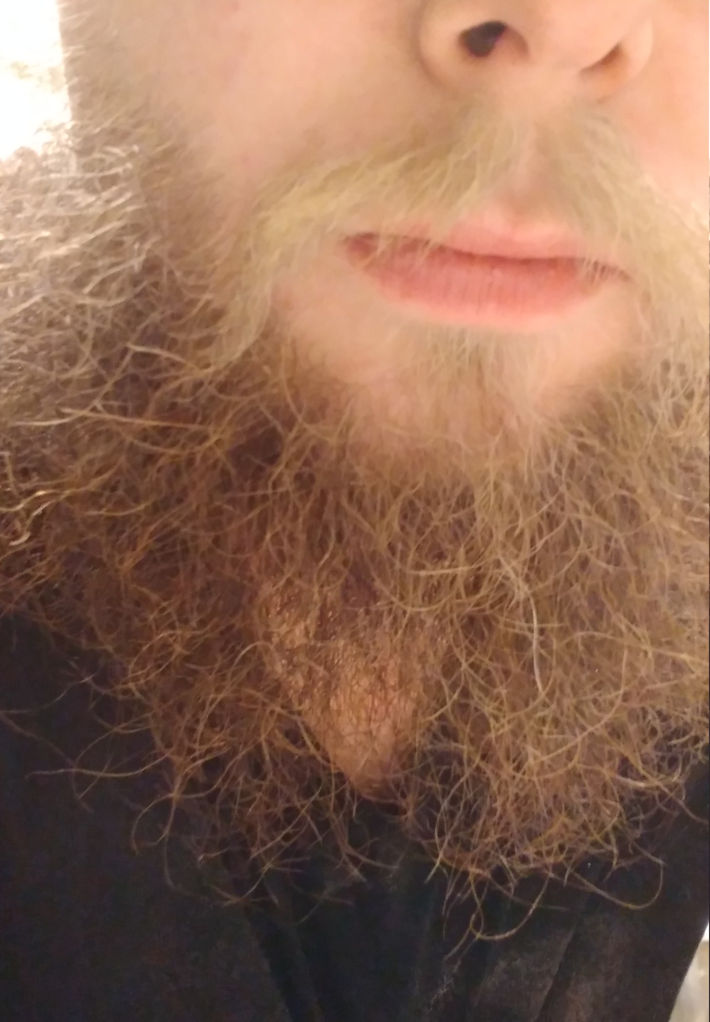 pizza.pizza. on One Bite Pizza App