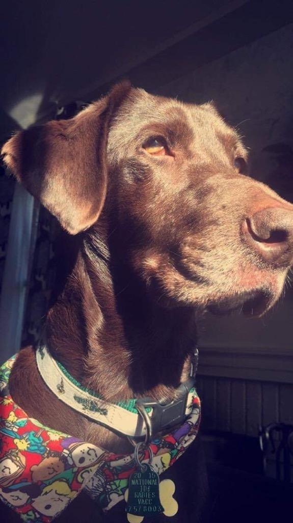 kzj78.merv on One Bite Pizza App