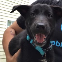 jdslice840 on One Bite Pizza App