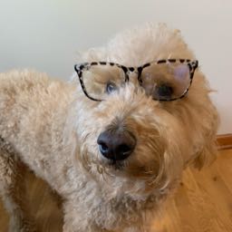 rosie.loves on One Bite Pizza App