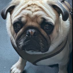 steven.kunz on One Bite Pizza App