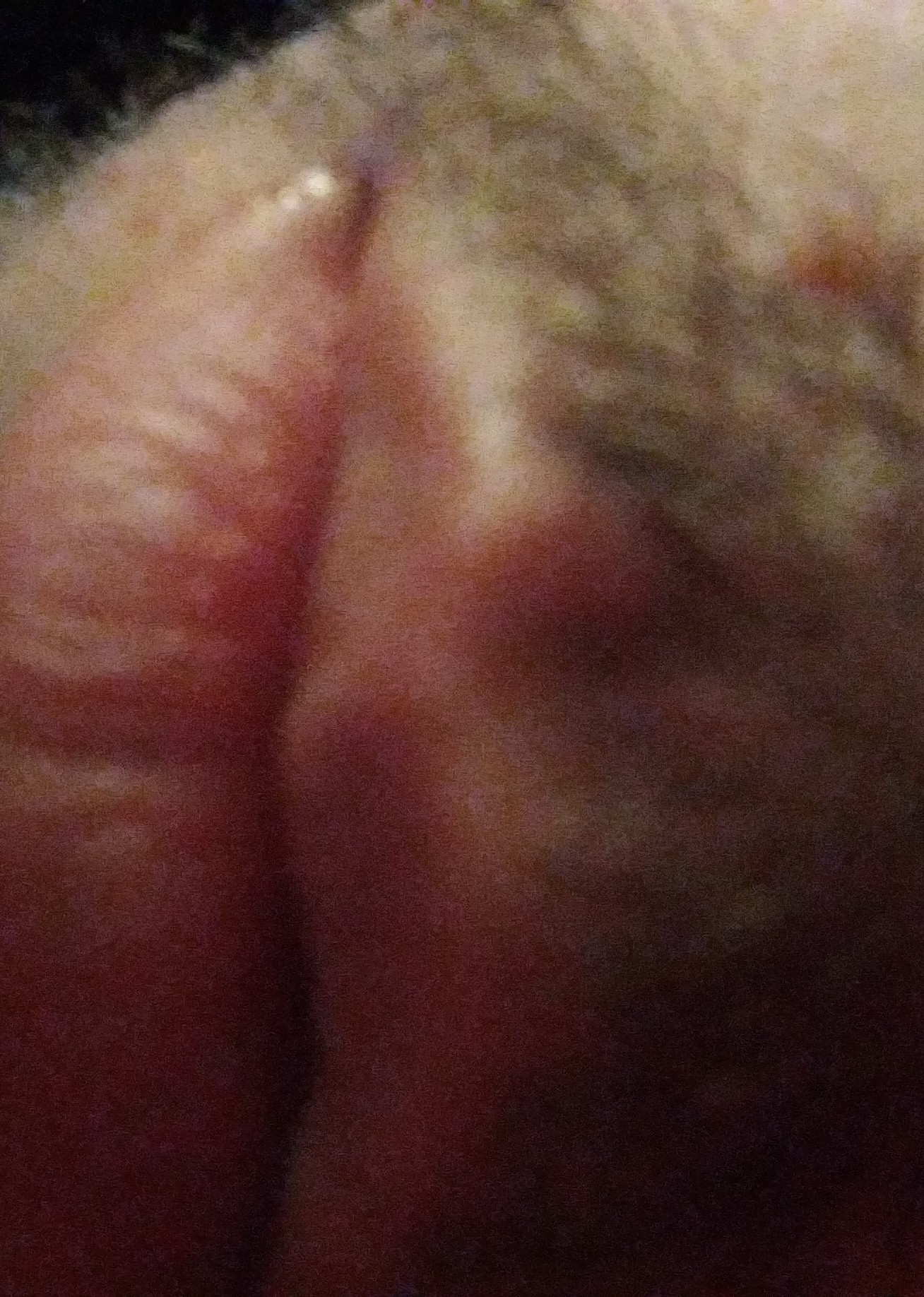 danny.p2 on One Bite Pizza App