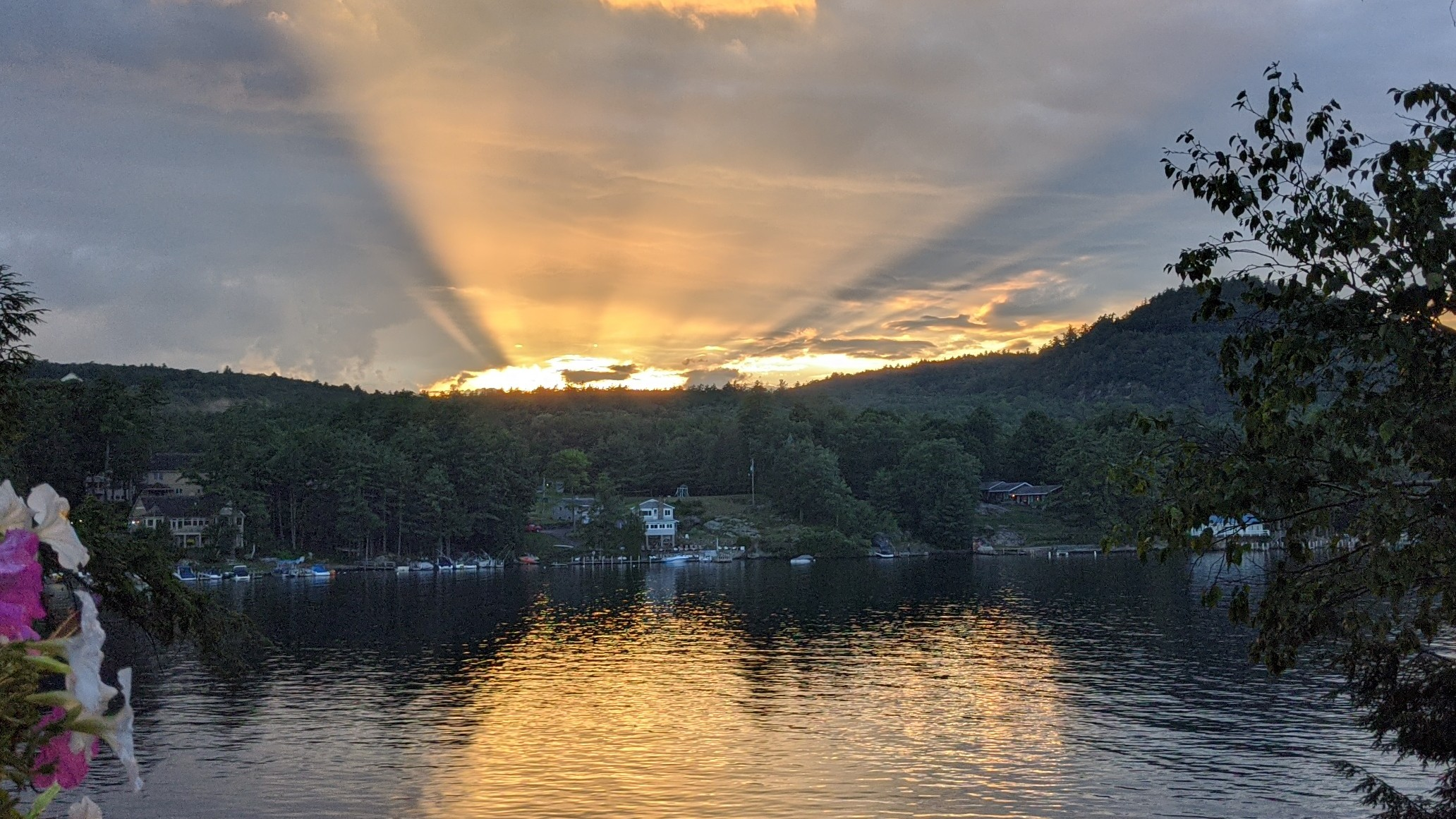 evan_ack on One Bite Pizza App