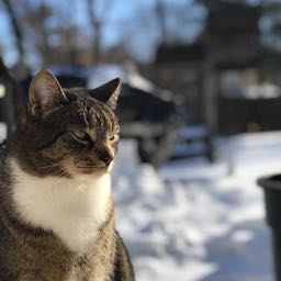 john.foster14 on One Bite Pizza App