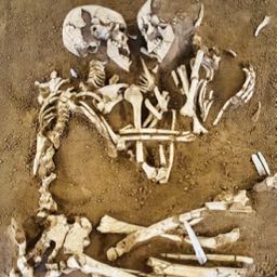 ethan.tangemann on One Bite Pizza App