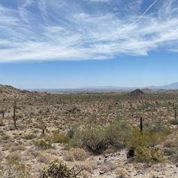 surgical13 on One Bite Pizza App