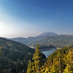 liam.hanberry on One Bite Pizza App