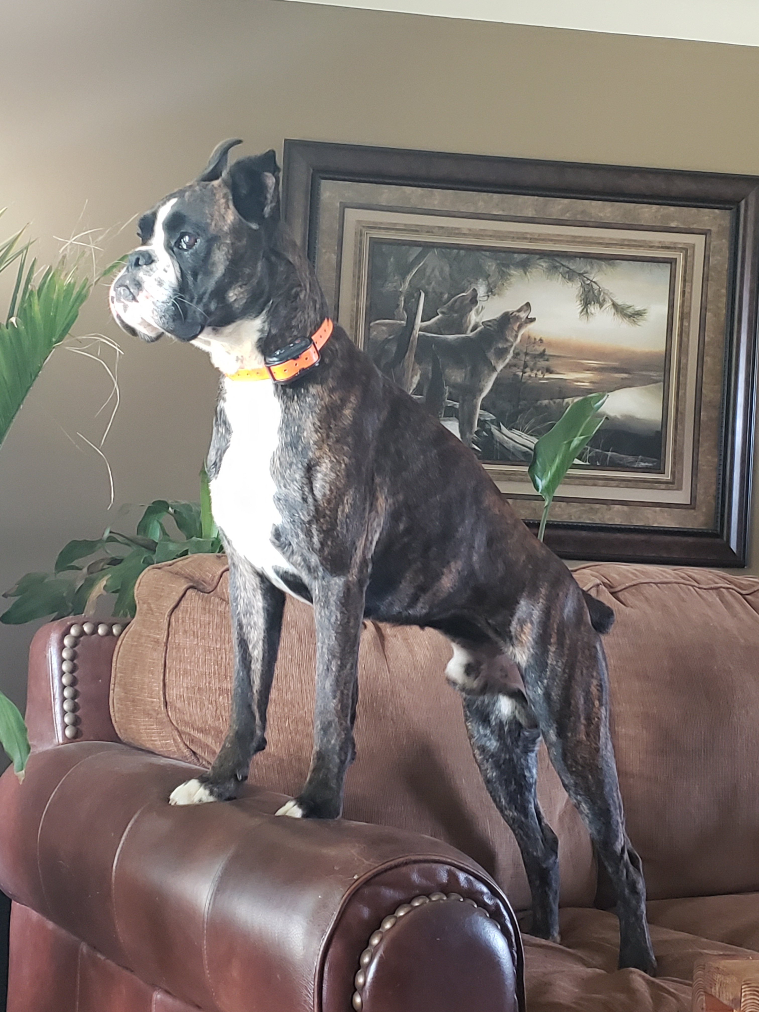 troy.tolkinen on One Bite Pizza App