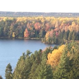 mittin92 on One Bite Pizza App