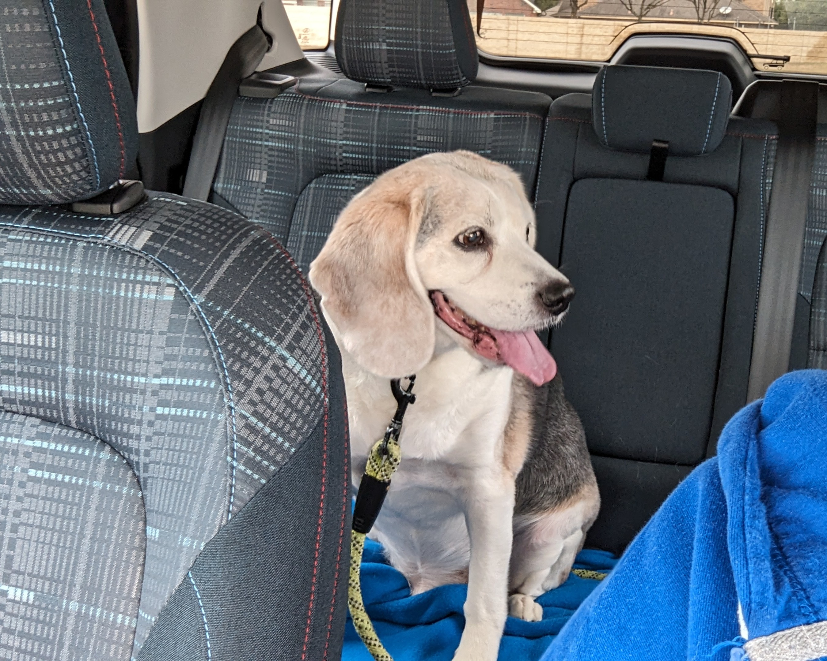 john.griesbacker on One Bite Pizza App