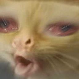 unclejan on One Bite Pizza App