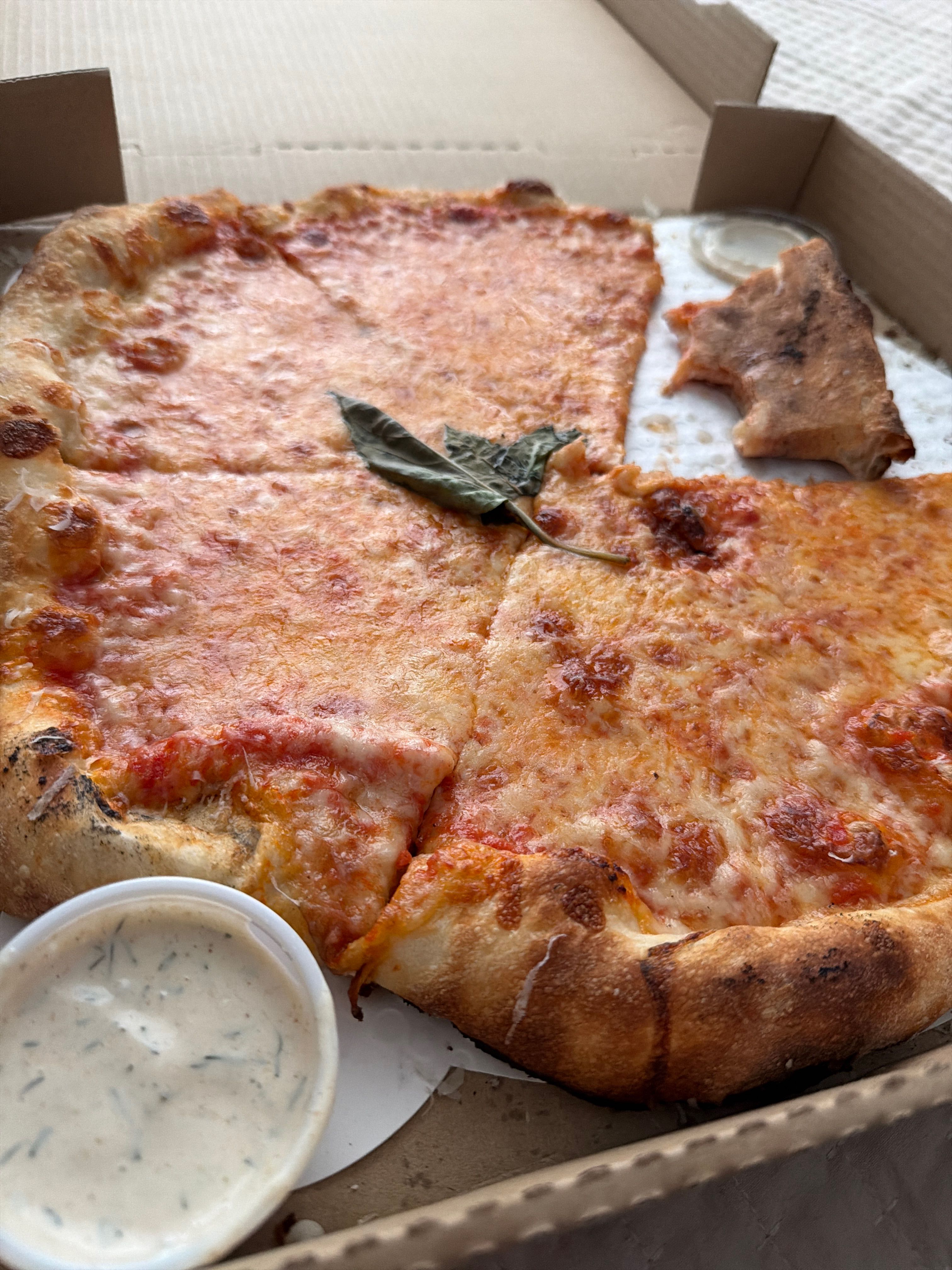 Pizza Review
