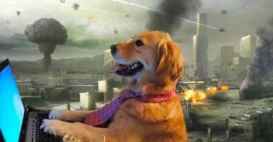 rob1234 on One Bite Pizza App