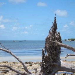 owen1 on One Bite Pizza App