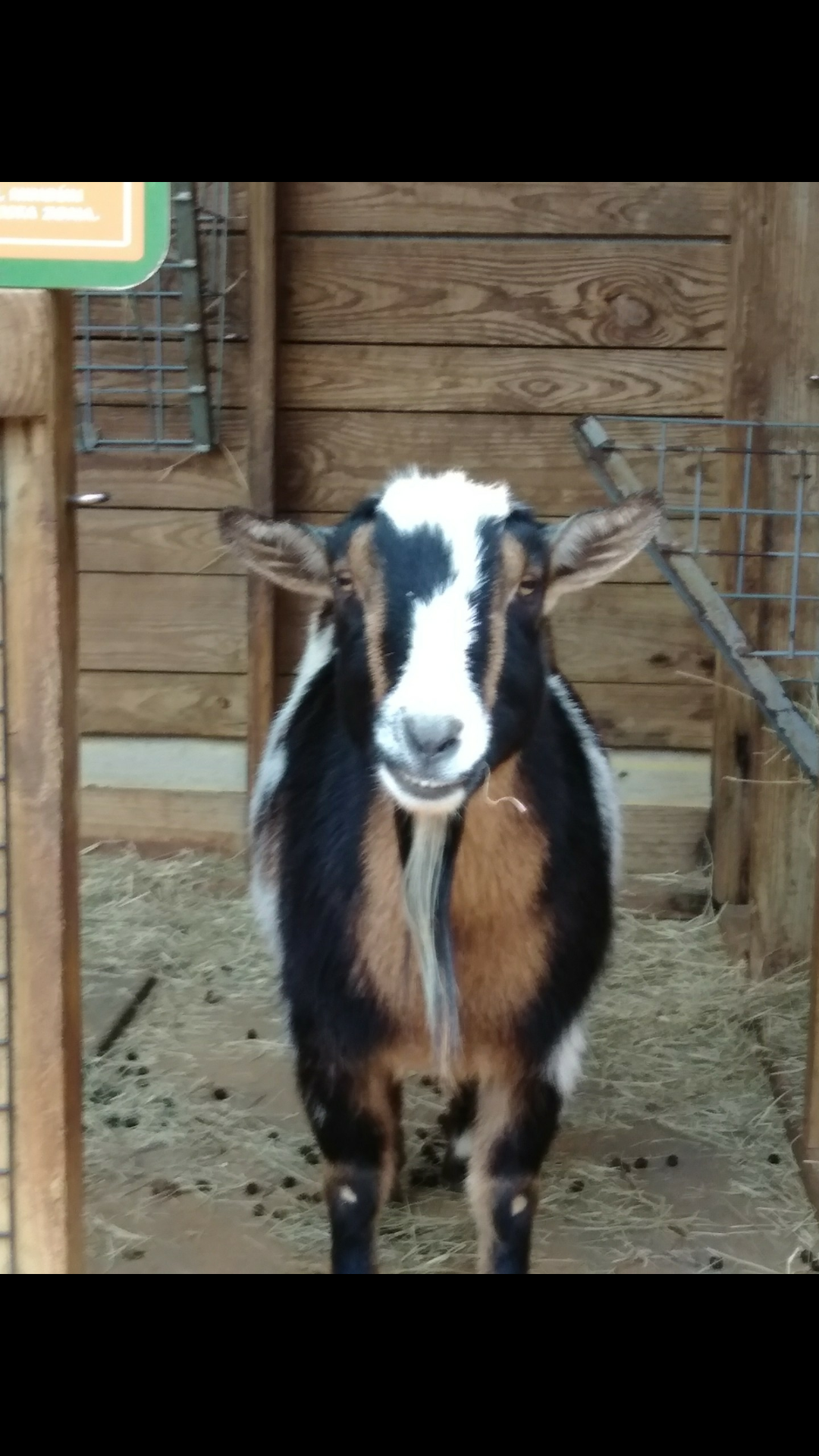 htownsportsgod on One Bite Pizza App