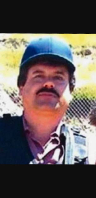 william.bello on One Bite Pizza App