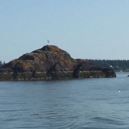 james.miner on One Bite Pizza App