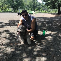 mike.carfi on One Bite Pizza App