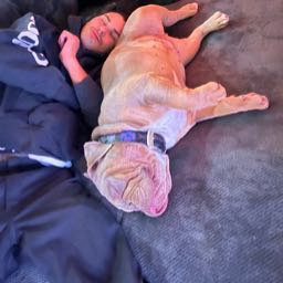 molloy13 on One Bite Pizza App