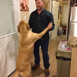 thomas.campbell3 on One Bite Pizza App