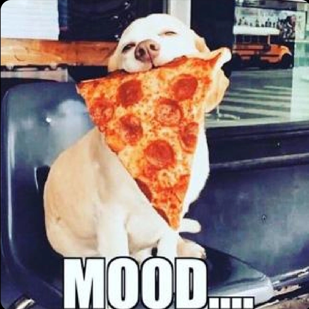 joey.pizzaman1 on One Bite Pizza App