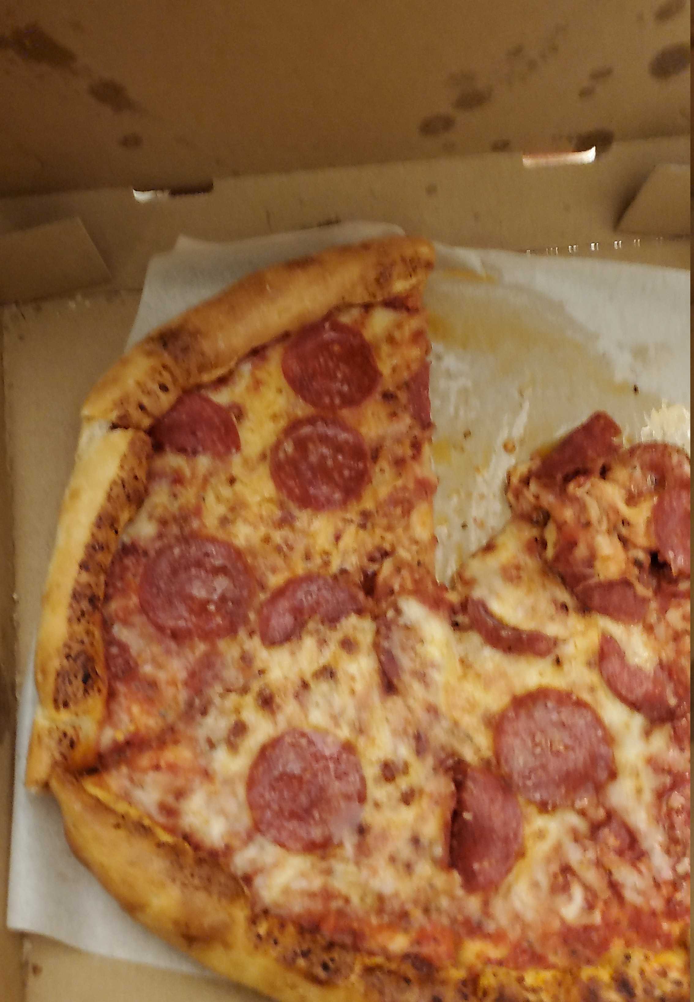 Pizza Review