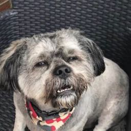 evan.hauge on One Bite Pizza App