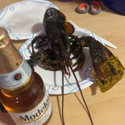 thnumber1pizzaman on One Bite Pizza App