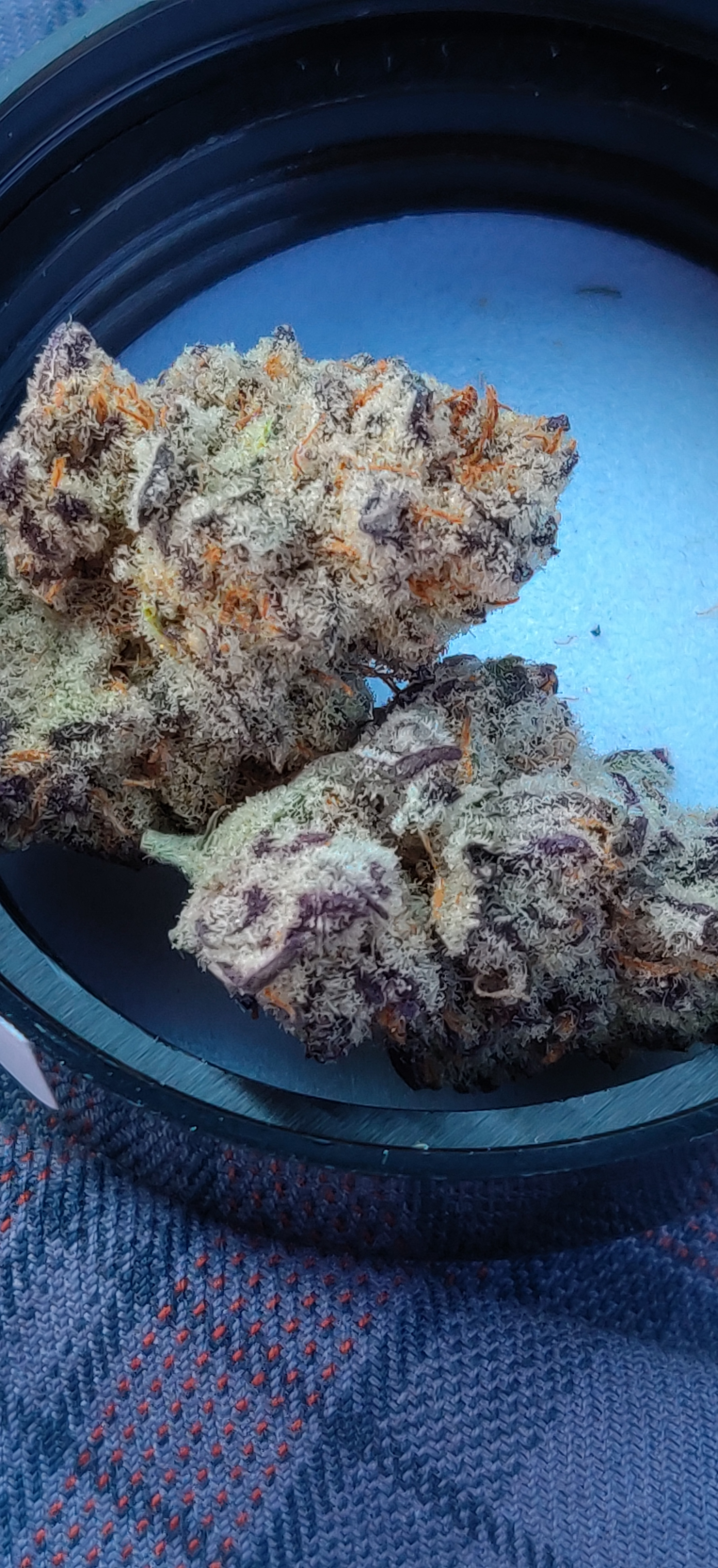 robert.ellison on One Bite Pizza App