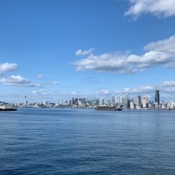 waldo.evans on One Bite Pizza App