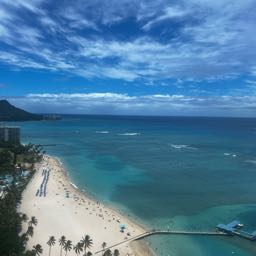 kansas on One Bite Pizza App