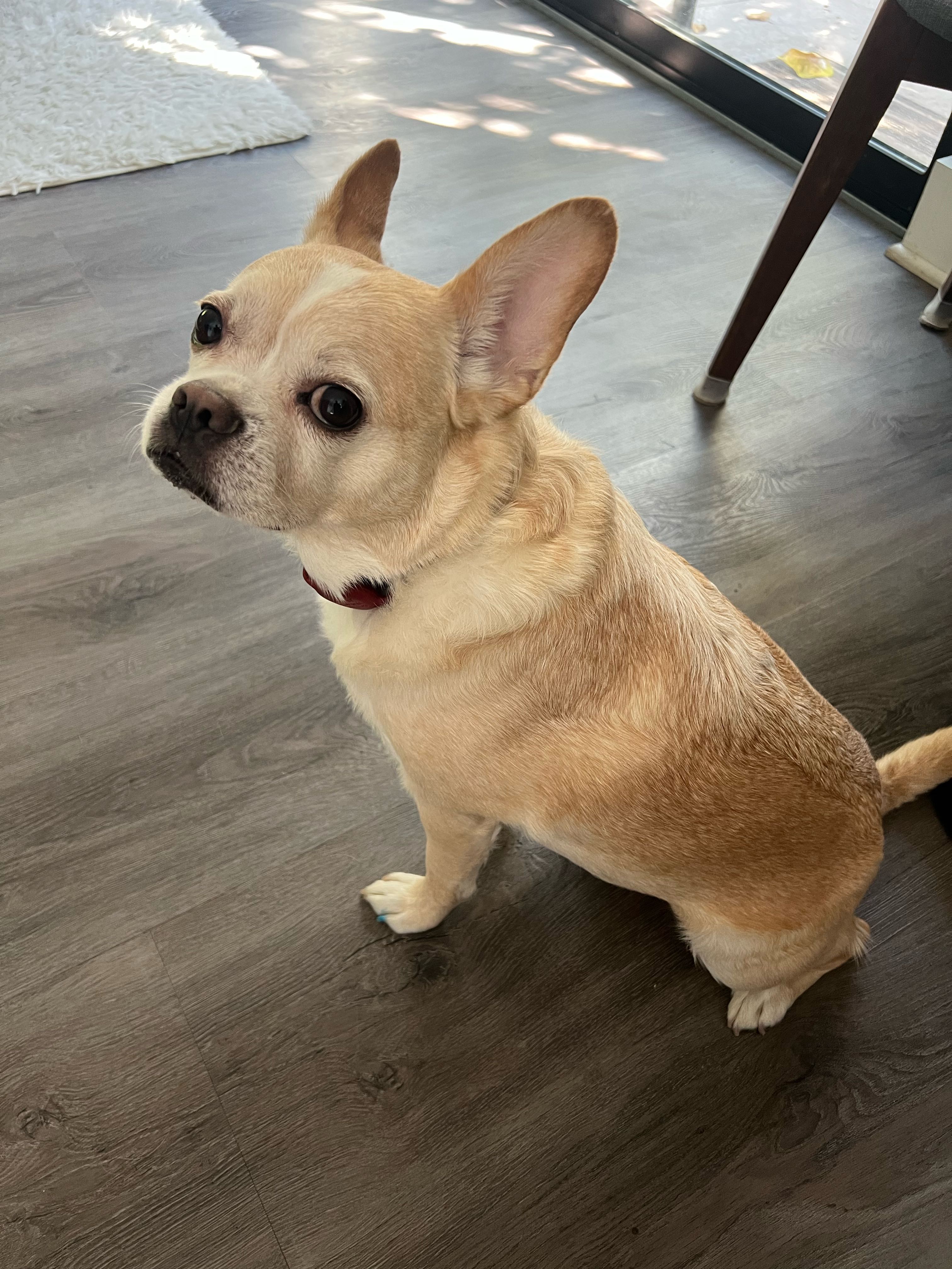 r.rama on One Bite Pizza App