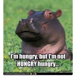 evolution17 on One Bite Pizza App