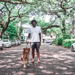 mazin on One Bite Pizza App