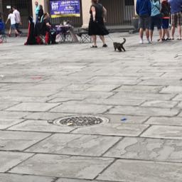 kf26.. on One Bite Pizza App