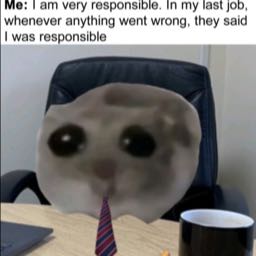 sizzlepapi on One Bite Pizza App