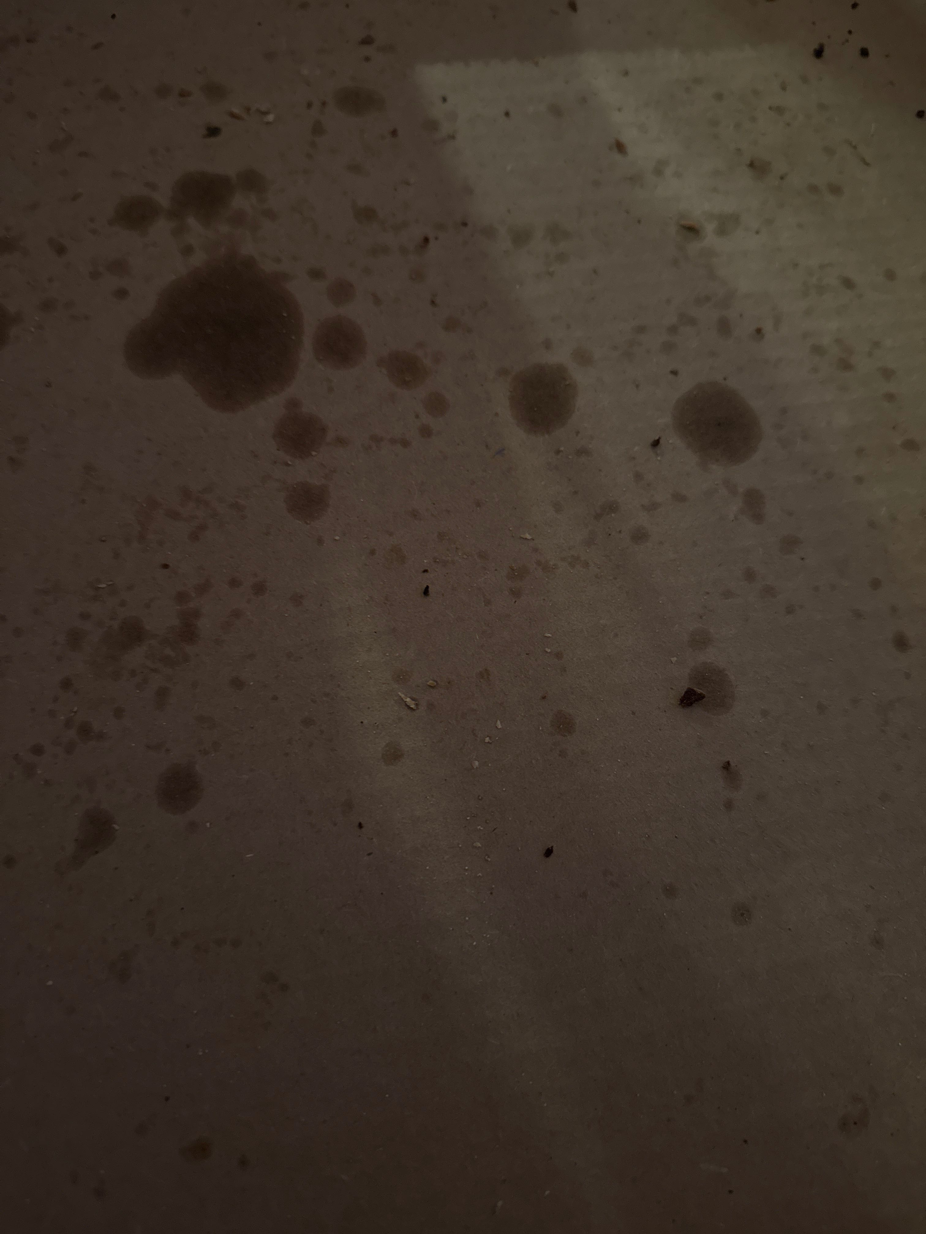 mcclain on One Bite Pizza App