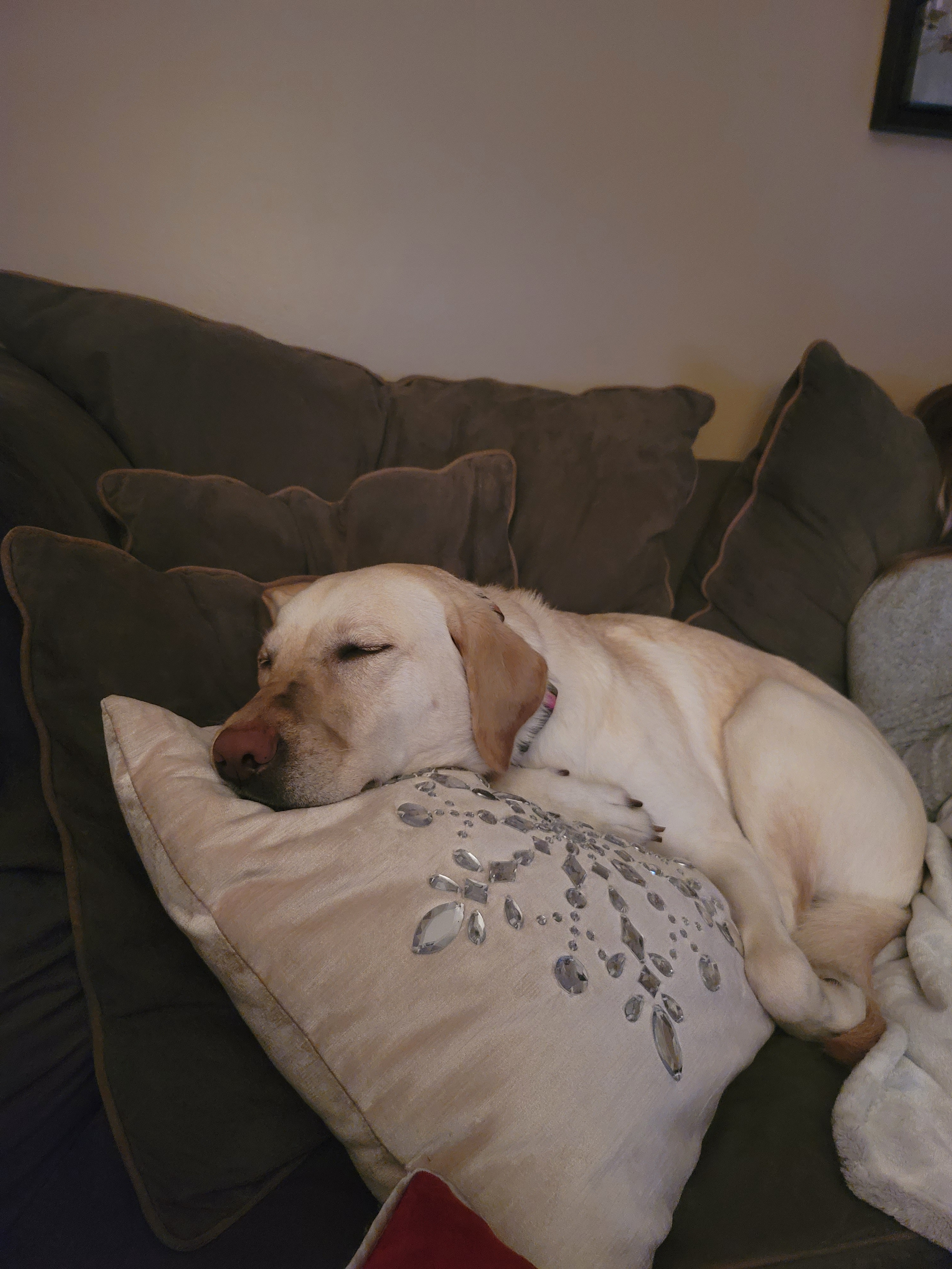 jake.lydick on One Bite Pizza App