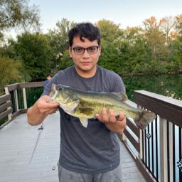 kenneth.quiroz on One Bite Pizza App