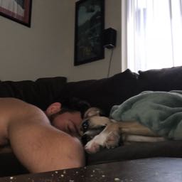 maenu on One Bite Pizza App