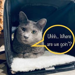 jeslyn.kennedy on One Bite Pizza App