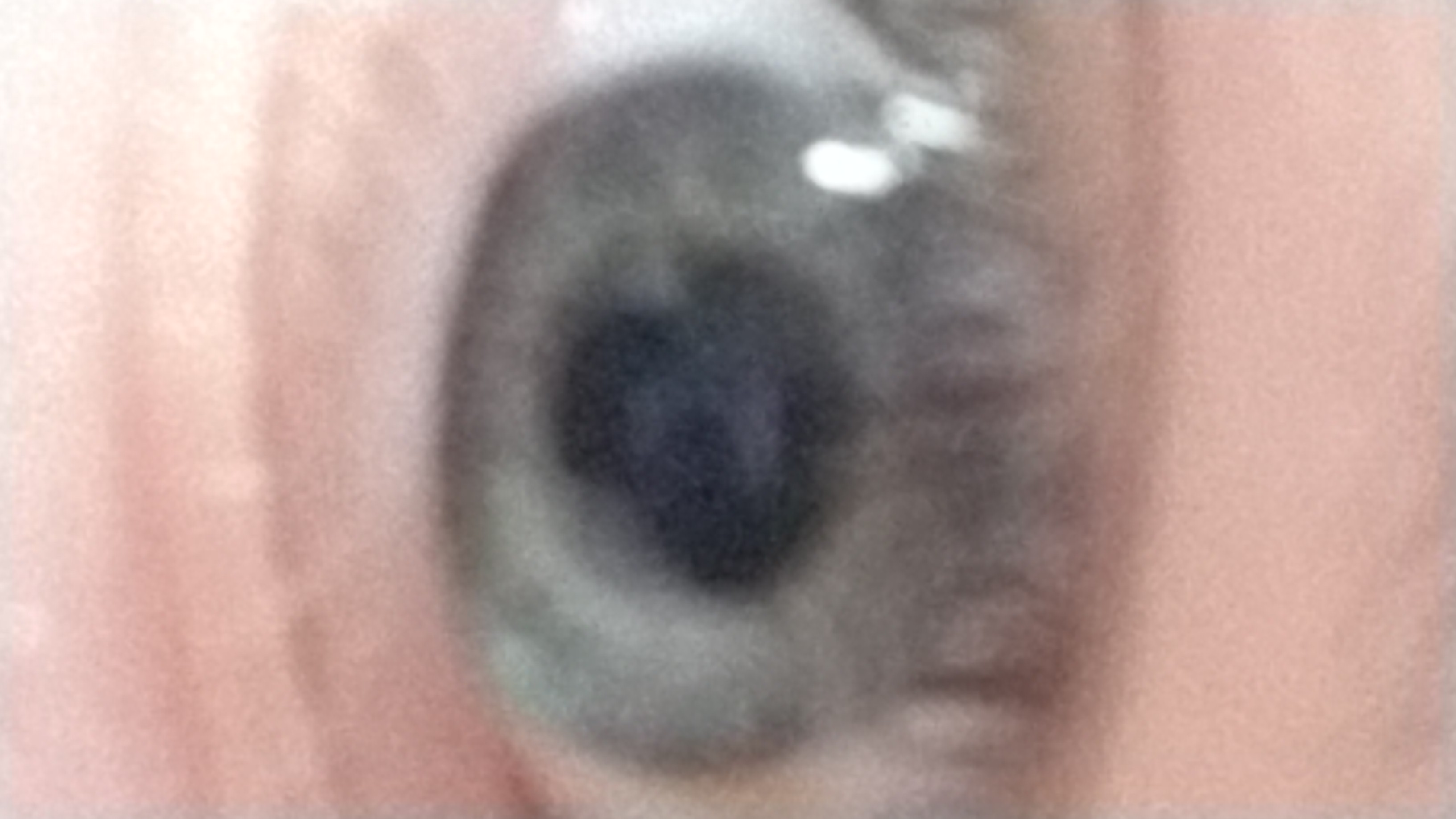 kyledoesthepizza on One Bite Pizza App